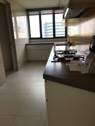 The Interlace (D4), Condominium #566353391